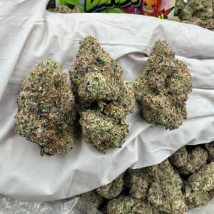 ZA* LAVA LIME BLAST 9/10 (1LB)