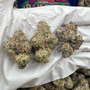 ZA* RAINBOW BELTS 8.5/10 (1LB)