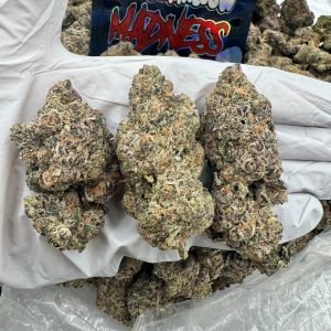 ZA* MARSHMALLOW MADNESS 9.5/10 (1LB)