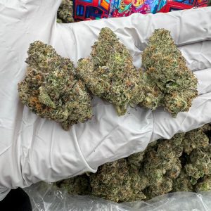 ZA* BRIT SCOTTI 9/10 (1LB)