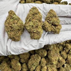 FUJI CAKE 7/10 (1LB)