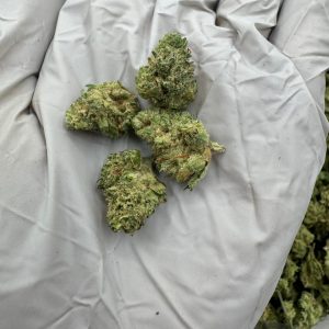 LEMON SHERBET (MICROS) 7.5/10