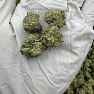 KOOL-AID (SMALLS) 7.5/10 (1LB)