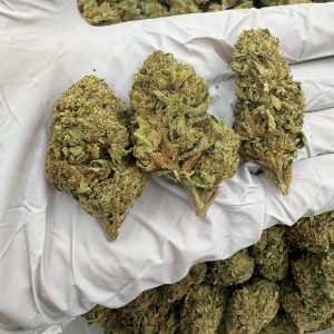 SUPER DOG 7/10 (1LB)