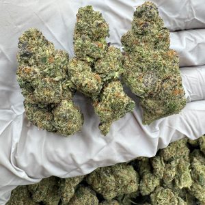 BLUEBERRY CHEESECAKE 9/10 (1LB)