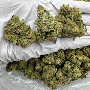 MODIFIED GRAPES 8/10 (1LB)