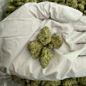 GRIM SUNDAE (SMALLS)👃8/10 (1LB)