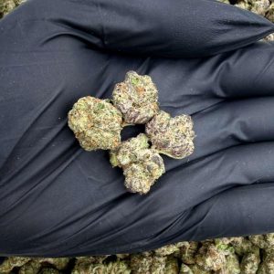 AMSTERDAM CAKE 👃8/10 (1LB)