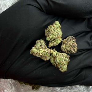 BLUE CAVIAR (SMALLS)👃8.5/10 (1LB)