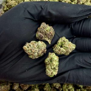 SCOTTIE PIE (SMALLS)👃 8.5/10 (1LB)