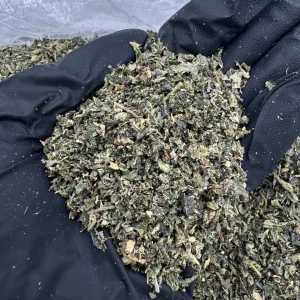 .SHAKE 👃8.5/10
