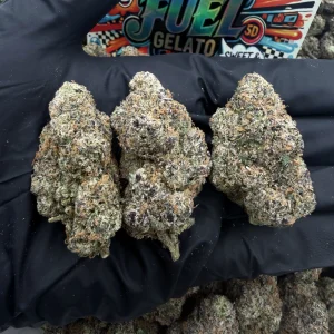ZA* JET FUEL GELATO 👃9.5/10 (IN TOWN)