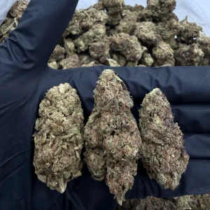 VANILLA CAKE 👃7/10 (IN TOWN)