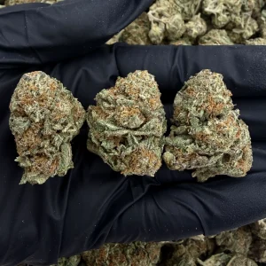 ORANGE CREAMSICLE 👃8/10 (IN TOWN)