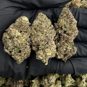 BLACKBERRY KUSH 👃7.5/10 (IN TOWN)