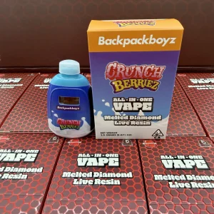 BACKPACKBOYZ 2G DISPOSABLE