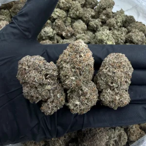 BLUEBERRY SMUCKERZ 8.5/10 (IN TOWN)