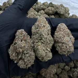 HOOD CANDY 8.5/10 (IN TOWN)