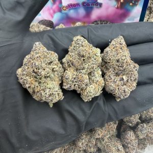 ZA* COTTON CANDY 👃9.5/10 (IN TOWN)