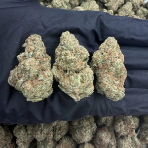 CANDY BITES 👃8.5/10 (IN TOWN)