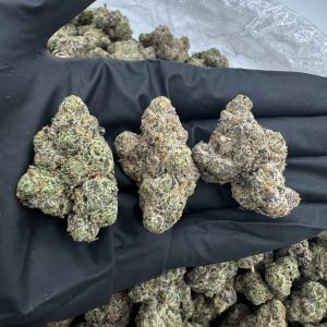 INDY POP 👃9.5/10 (IN TOWN)
