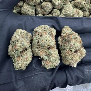 ROCKET FUEL 👃8/10 (IN TOWN)