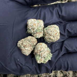 BLUE FANTA (SMALLS) 👃8/10 (IN TOWN)