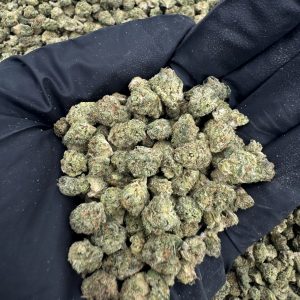 CHERRY RUNTZ (X-SMALLS) 👃8/10 (IN TOWN)