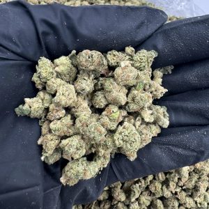 BLUE NERDZ (X-SMALL) 👃8/10 (IN TOWN)