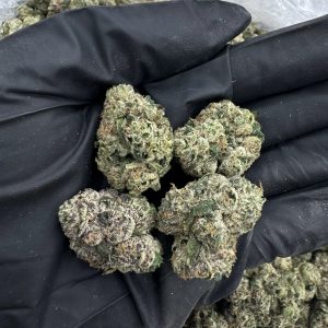 INSANE BRAIN (SMEDIUMS) 9.5/10 (IN TOWN)