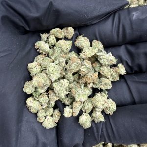 CUTIES (X SMALL) 8/10 (IN TOWN)