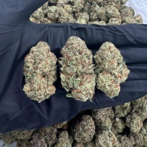 CRUNCH BERRIES 8.5/10 (IN TOWN)