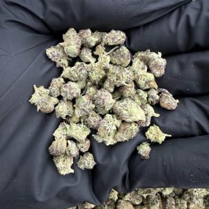 NUGGETZ (X SMALL) 8/10 (IN TOWN)