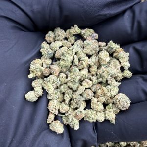 TESLA POPPERS (X SMALL) 8/10 (IN TOWN)