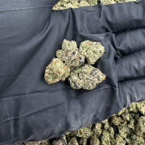 FRUIT STRIPES (SMALLS) 8.5/10 (IN TOWN)